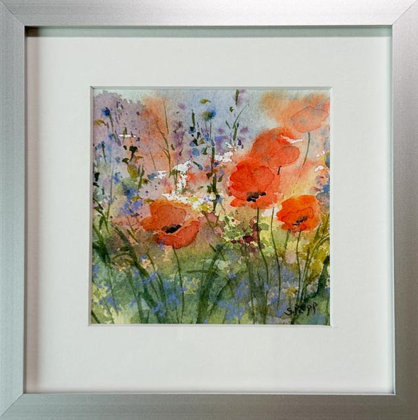 Poppy Love VI