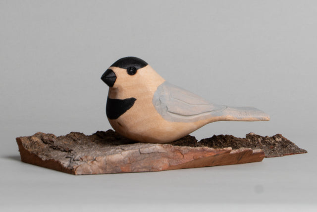 Chickadee