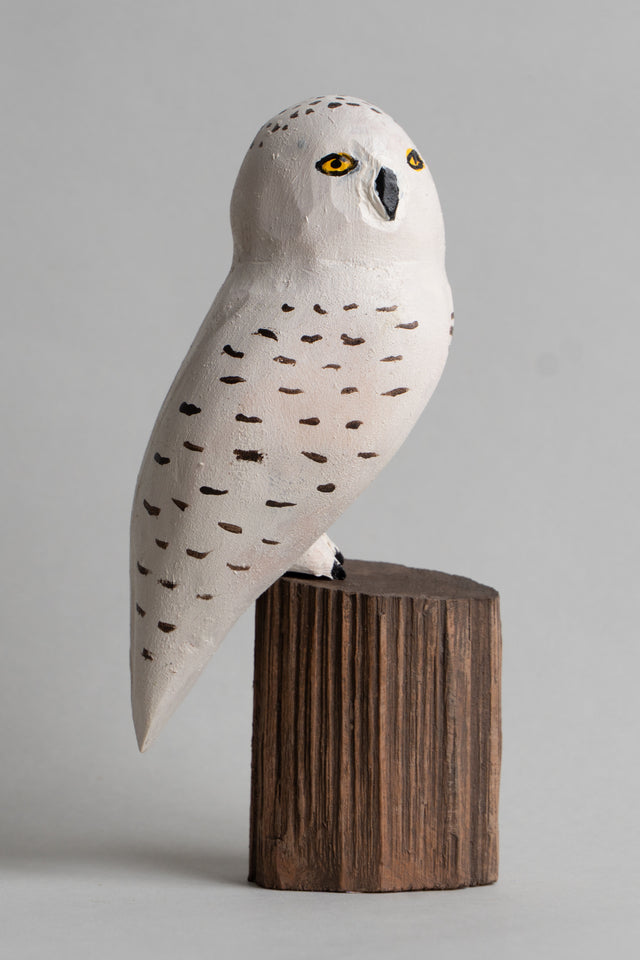 Snowy Owl