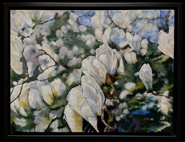 Magnolia Blossoms