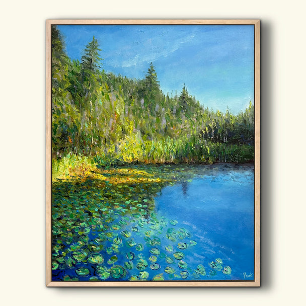 Ridges Sanctuary Pond