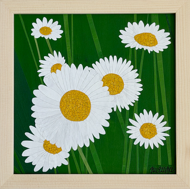 Garden View - Oxeye Daisy
