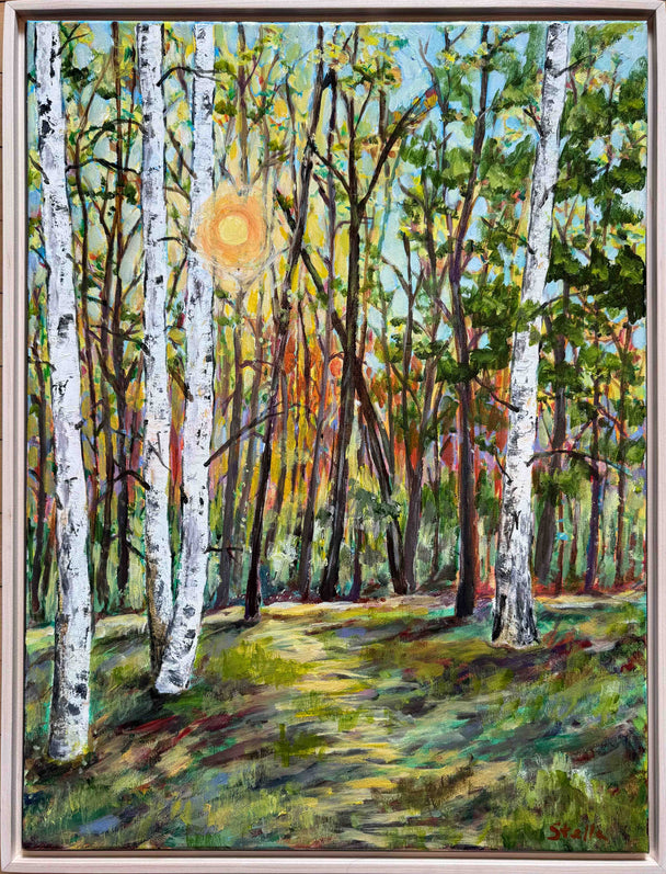 A Walk in The Woods