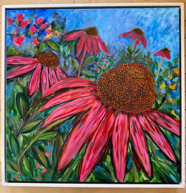 Coneflower Field