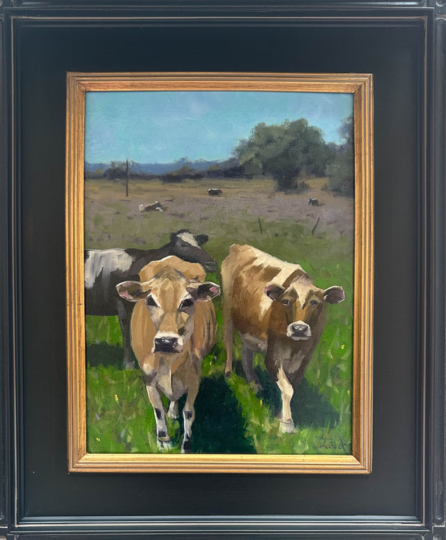 Cows of Door County