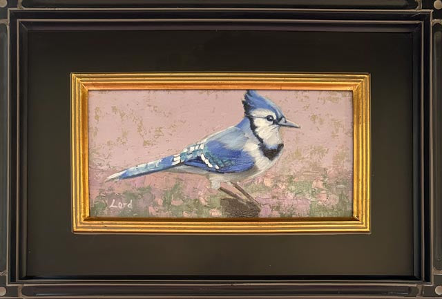 The Watchful Jay
