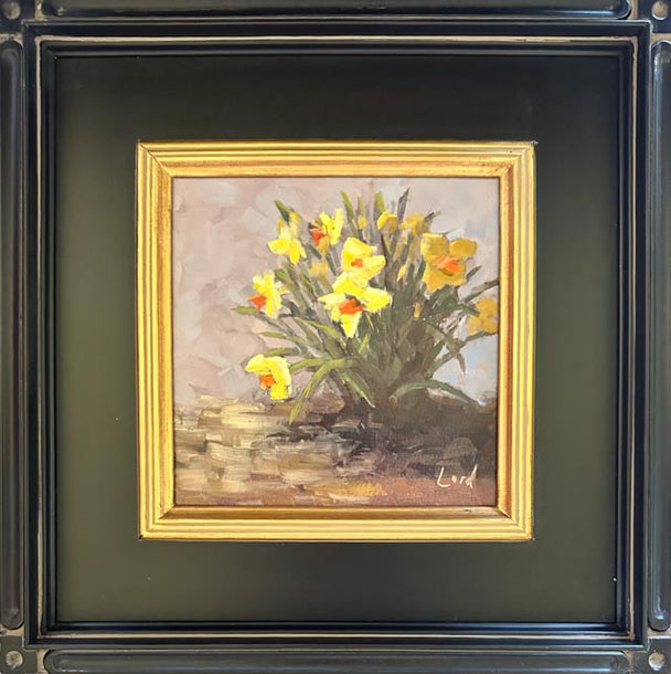 Sunlight On Daffodils