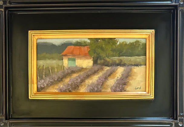 Lavender Fields