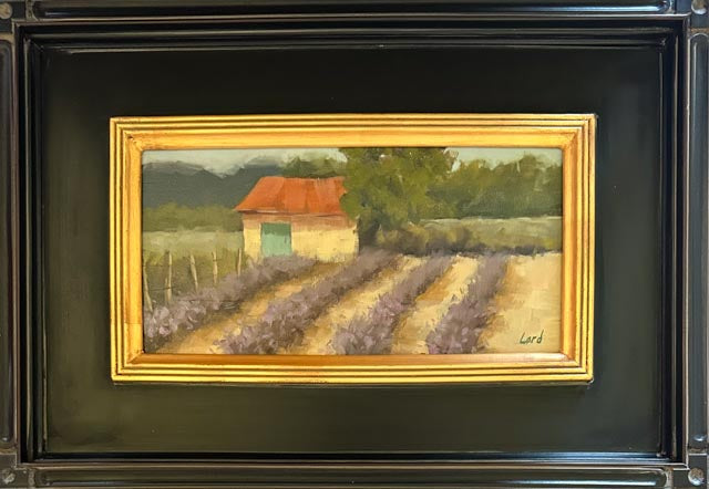 Lavender Fields