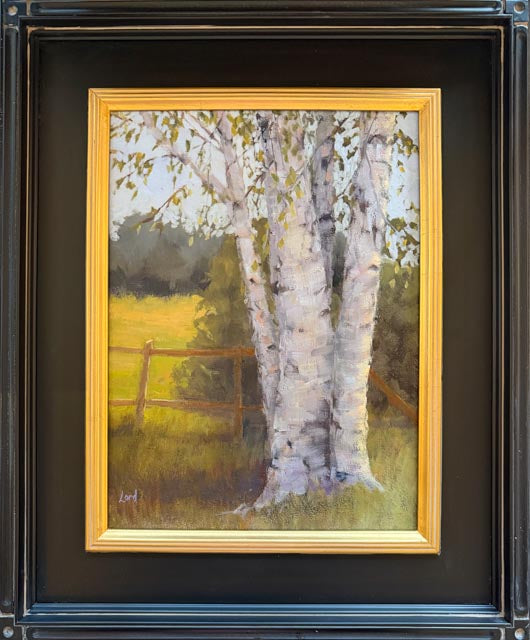 Plum Bottom Birch