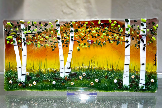 Beautiful Meadow