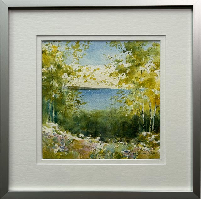 Scenic Overlook I