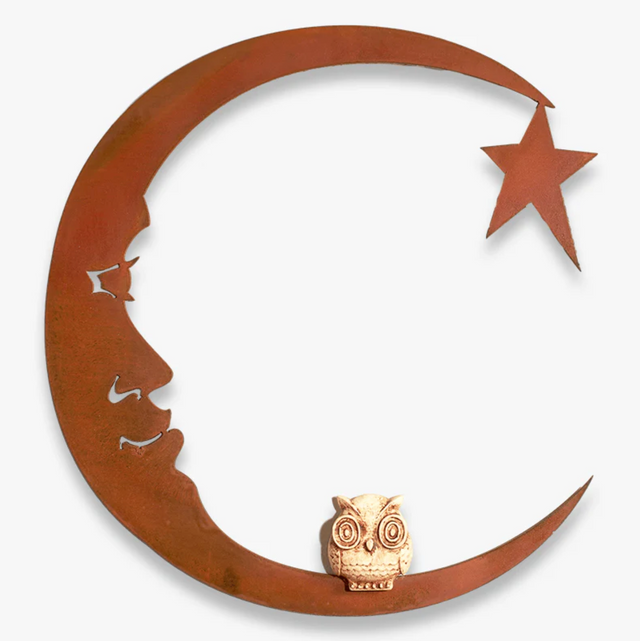 Owl on the Moon Metal Art