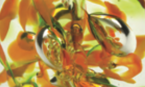 Glass Paperweight
