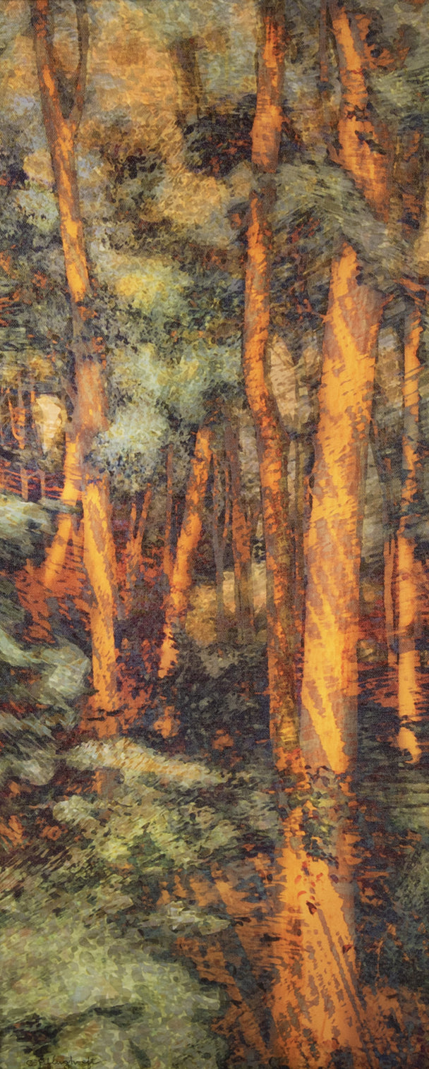 Shimmer in the Woods 13X21