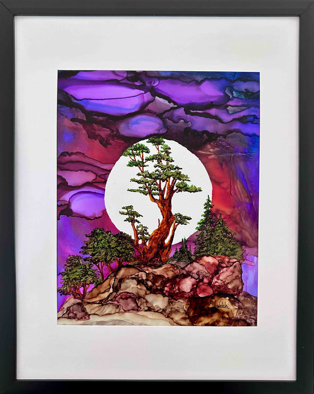The Escarpment