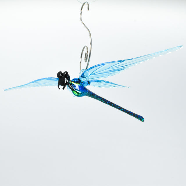 Dichroic Dragonfly