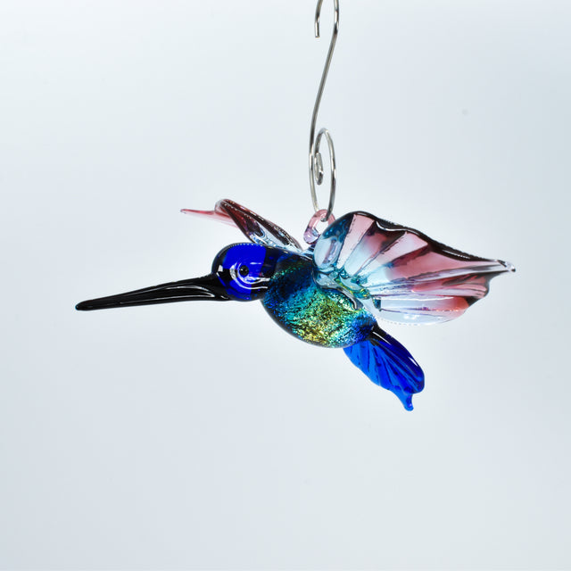 Hummingbird Tina Dichro