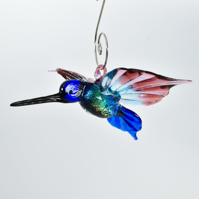 Hummingbird Tina Dichro