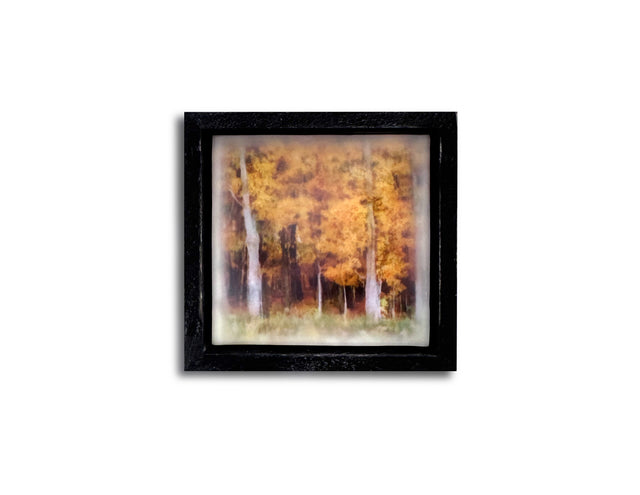 Whispers of Autumn