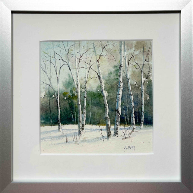 Winter Birches #1