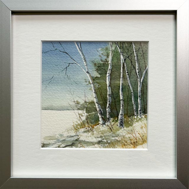 Winter Birches #12