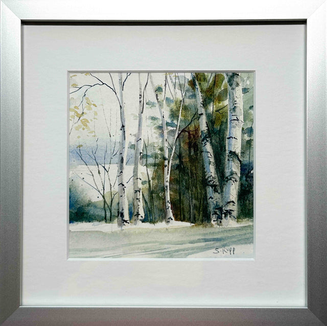 Winter Birches #2
