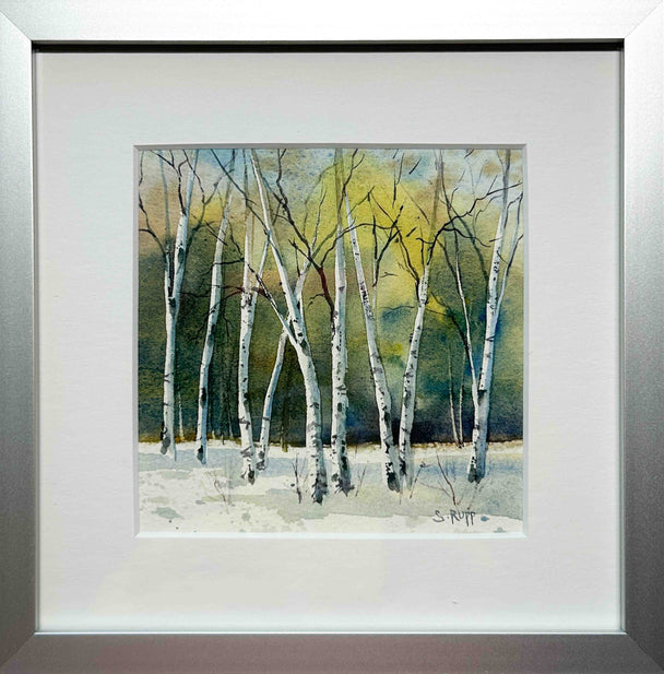 Winter Birches #3