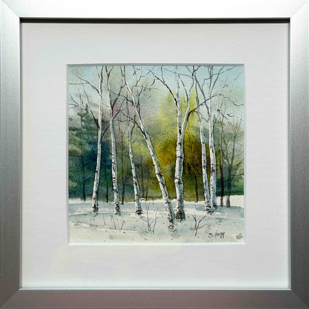Winter Birches #5
