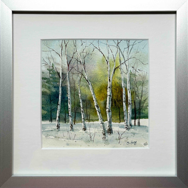 Winter Birches #5