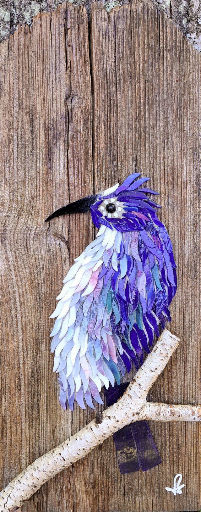 Bluejay