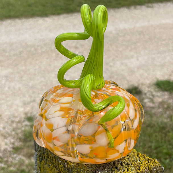 Creamsicle Pumpkin