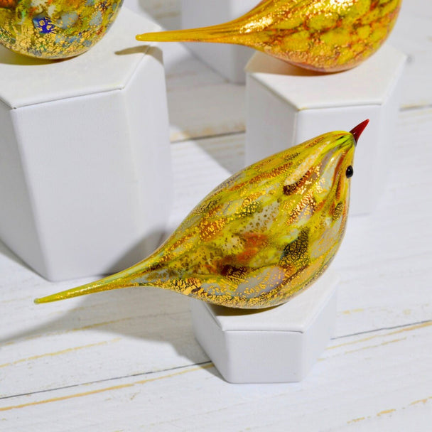 Glass Chirpie Bird