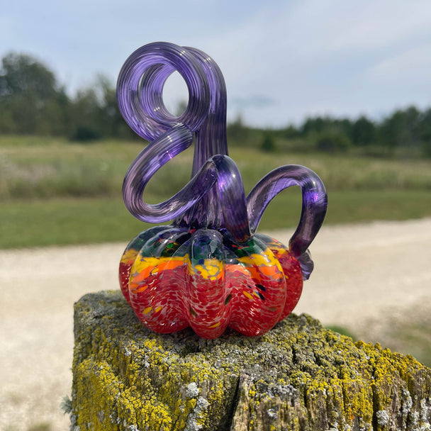 Rainbow Mini Solid Pumpkin