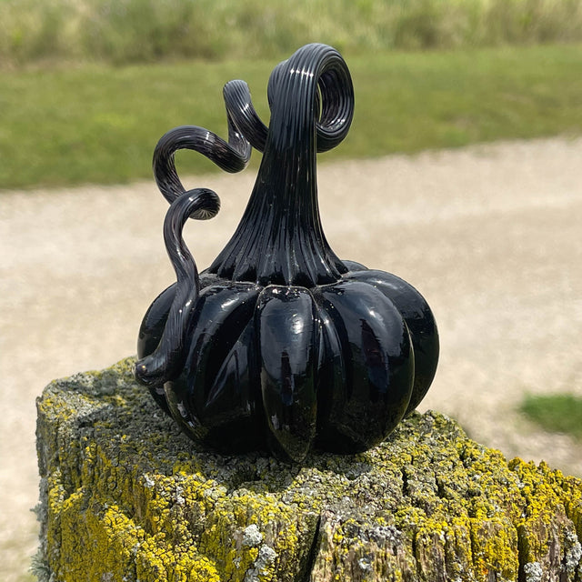 Black Mini Solid Pumpkin