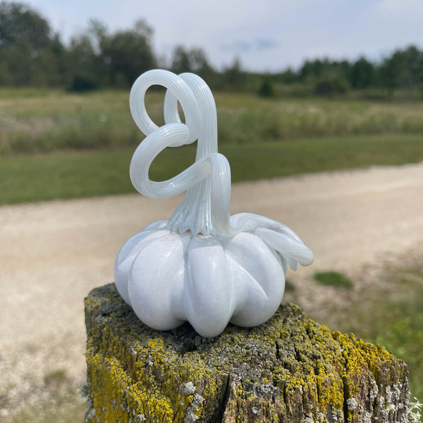 Pure White Mini Solid Pumpkin