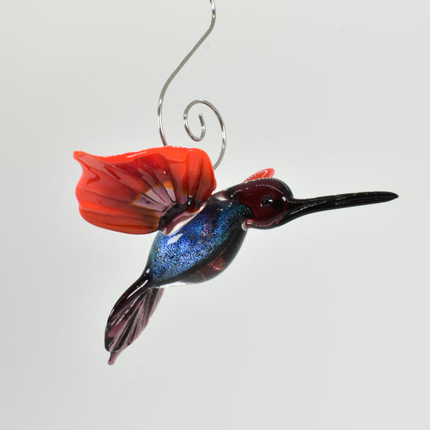 Hummingbird Tina Dichro