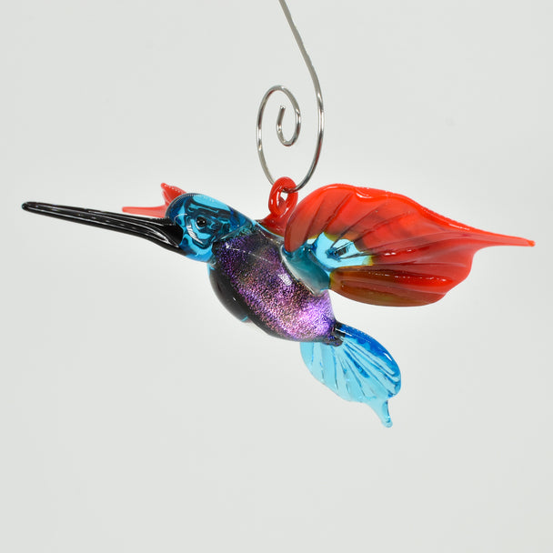 Hummingbird Tina Dichro