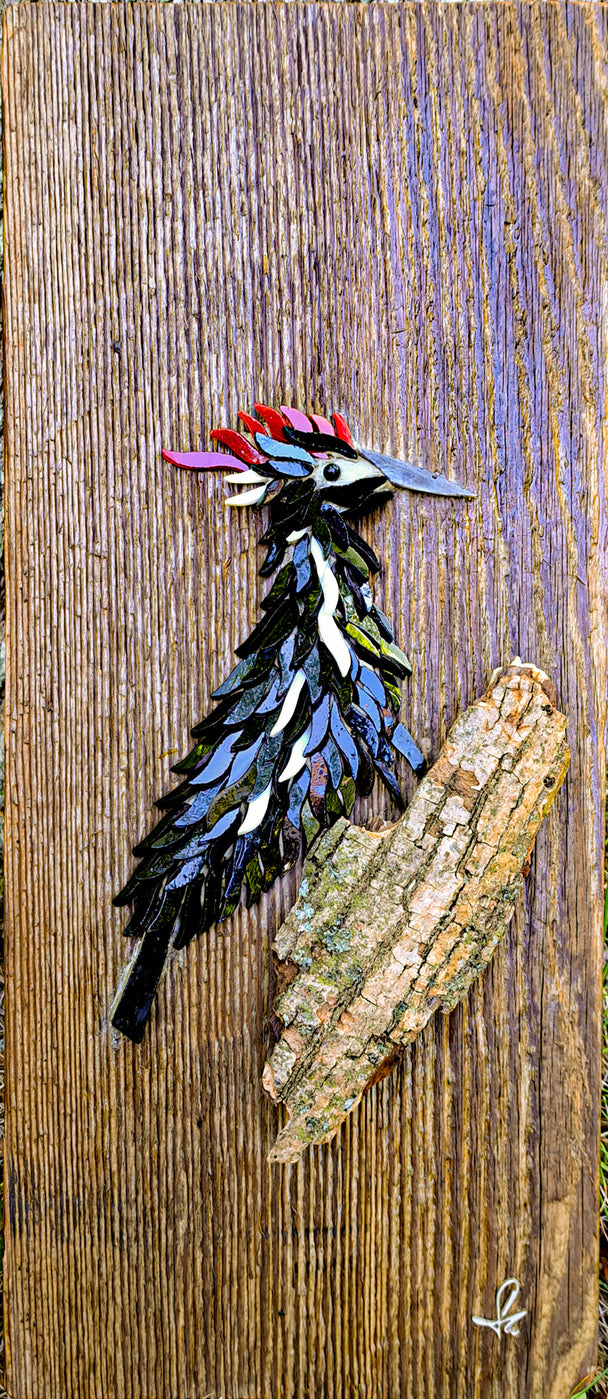 Woodpecker