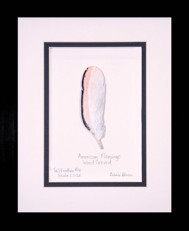 Greater Flamingo Tail Feather Wood Carving