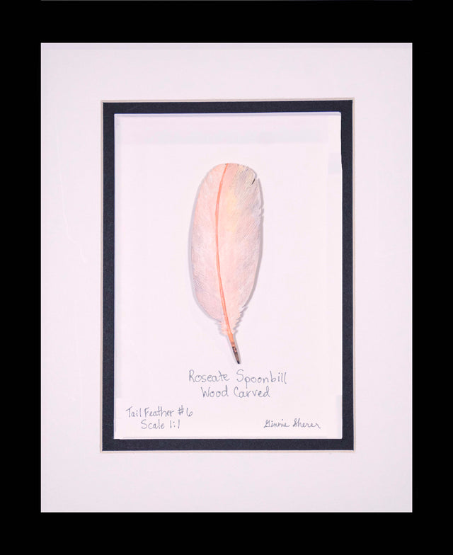 Roseate Spoonbill Tail Feather Wood Carving