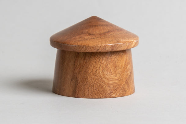 Oak Mushroom Box