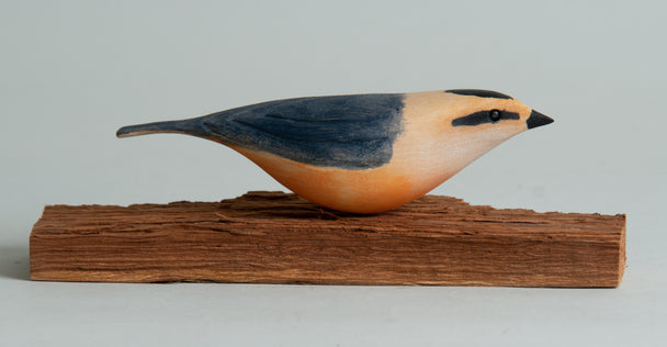 Nuthatch