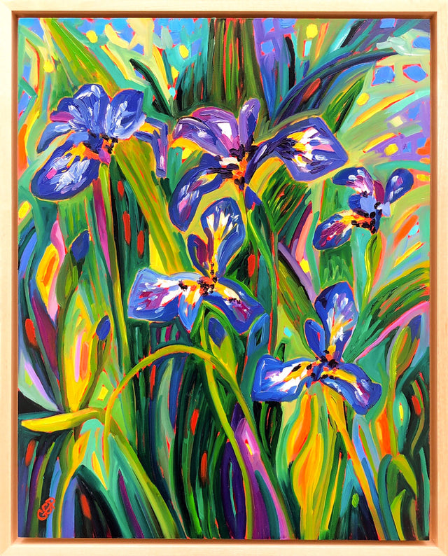 A Patch of Irises