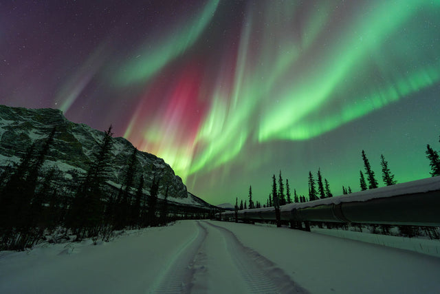 Auroras Above the Alaska Pipeline