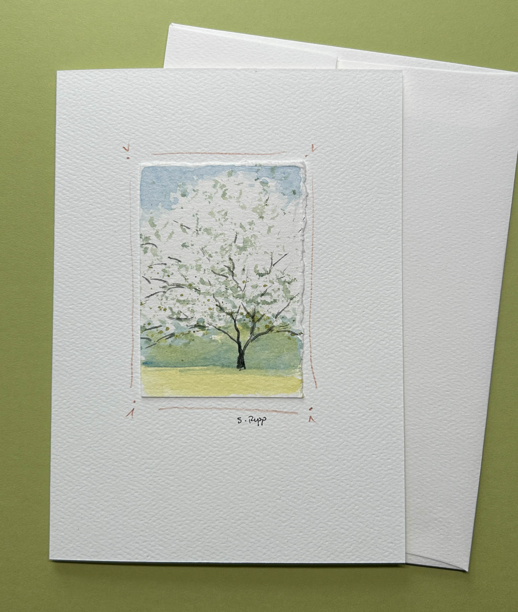 Cherry Blossom Hand-Painted Card – Plum Bottom Gallery