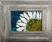 Daisy Mosaic Window