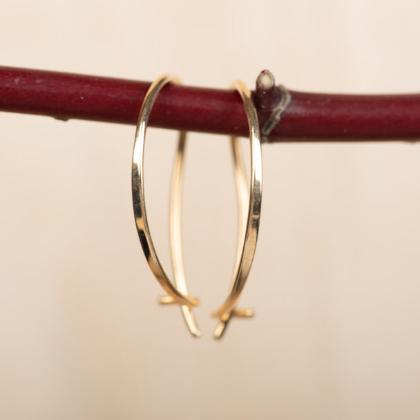 Locking Hook Earring