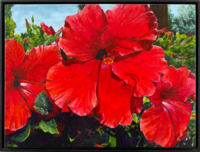 Red Hibiscus