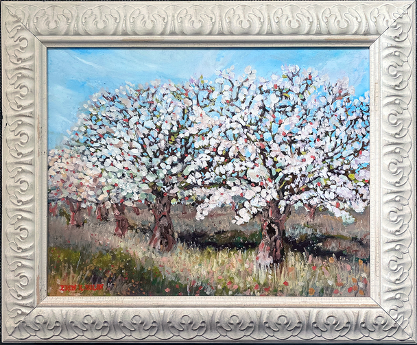 Spring Orchard in Bloom